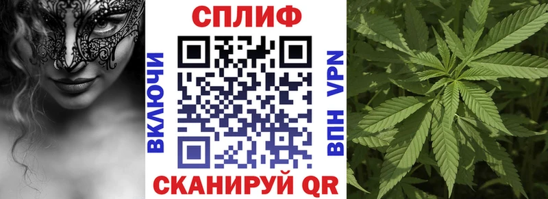 Где купить наркотики Новороссийск Каннабис  Alpha-PVP  COCAIN  ГАШИШ  АМФ  МЕТАДОН  Мефедрон 
