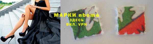 хмурый Нея