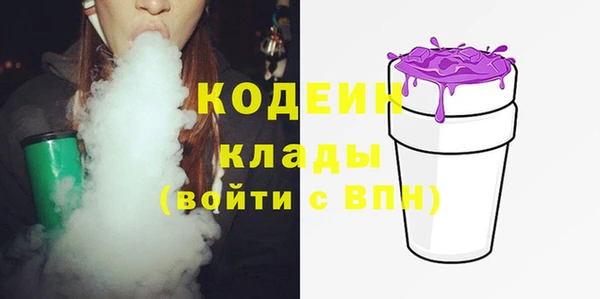 СК Новозыбков