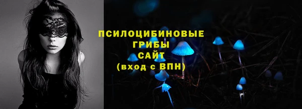 сатива Бердск