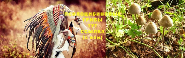 марки nbome Новодвинск