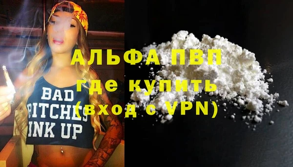 СК Новозыбков