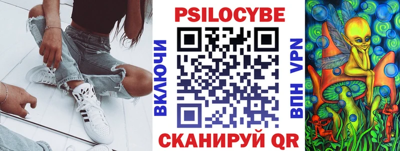 купить   MEGA маркетплейс  Галлюциногенные грибы Cubensis  Новороссийск 