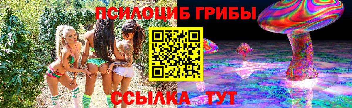 Псилоцибиновые грибы Psilocybe Новороссийск