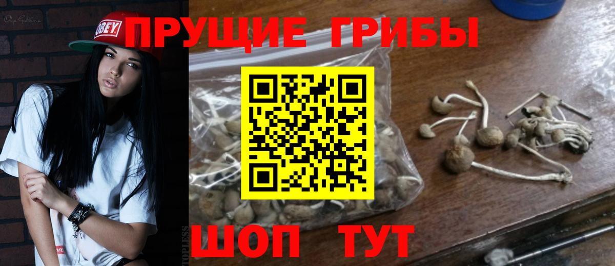 Новороссийск  Псилоцибиновые грибы Magic Shrooms  Вход с VPN 